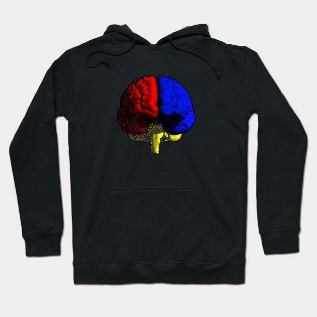 the Primary Brain Hoodie by jonah block